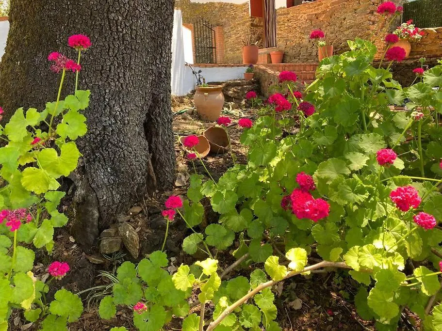 Holiday home Casa Coronado Vivienda Rural Los Bravos Spain